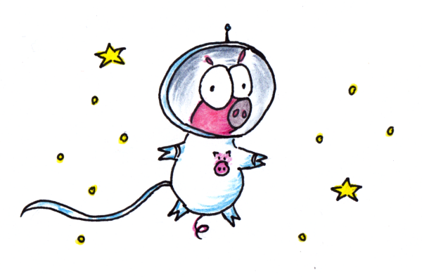 Space Pig